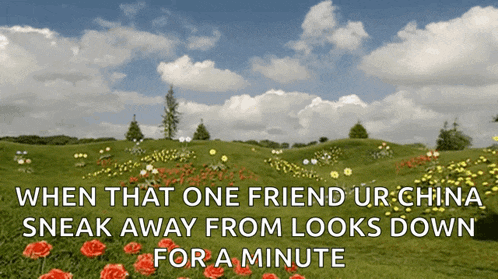 a picture of a field of flowers with the caption when that one friend ur china sneak away from looks down