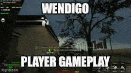 a screenshot of a video game with the words wendigo player gameplay