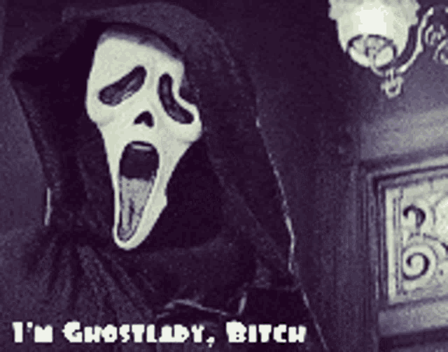 a black and white photo of a grim reaper with the words i 'm ghostlady bitch