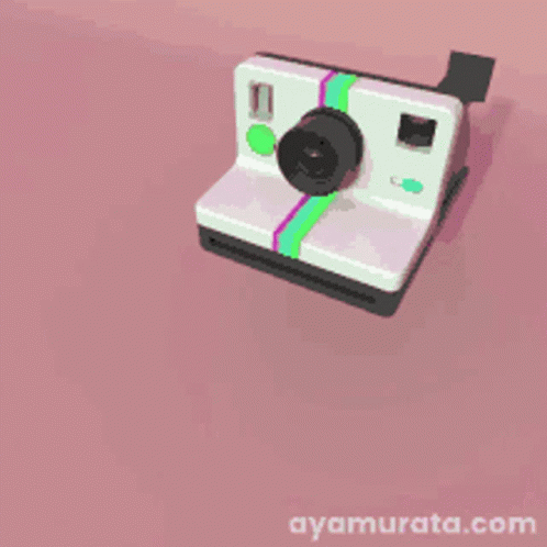 Polaroid Camera GIF - Polaroid Camera GIFs