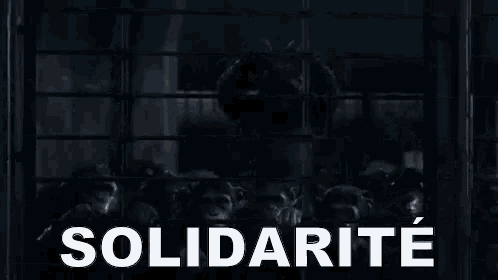 Solidarité GIF - Solidarité GIFs