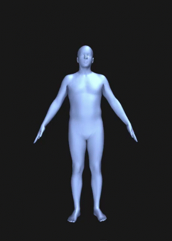 Bowl Man Body Visualizer GIF - Bowl Man Body Visualizer Male Body Visualizer GIFs
