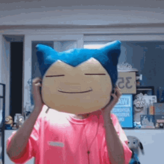 a person is holding a stuffed animal in front of their head .