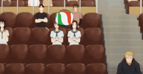 a group of people are sitting in a stadium with a volleyball in the middle of the audience .
