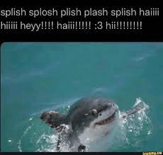 Splish Splash Shark Meme GIF - Splish Splash Shark Meme GIFs