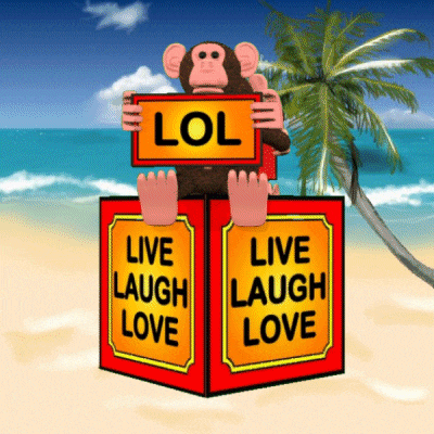 a monkey is holding a lol sign above two boxes that say live laugh love