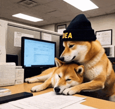 a dog wearing a hat that says dea on it