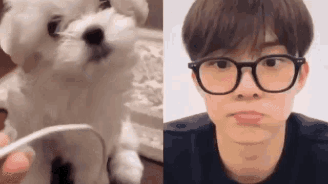 a white dog wearing glasses next to a man wearing glasses making a funny face .