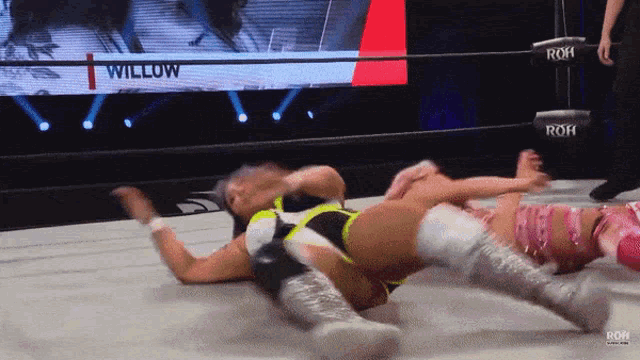 a woman in a wrestling ring with the name willow on the front