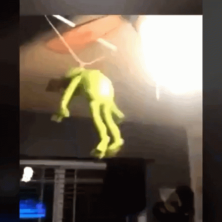 Kermit The Frog Hanging GIF