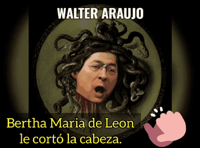 a painting of a man with snakes in his hair and the name walter araujo