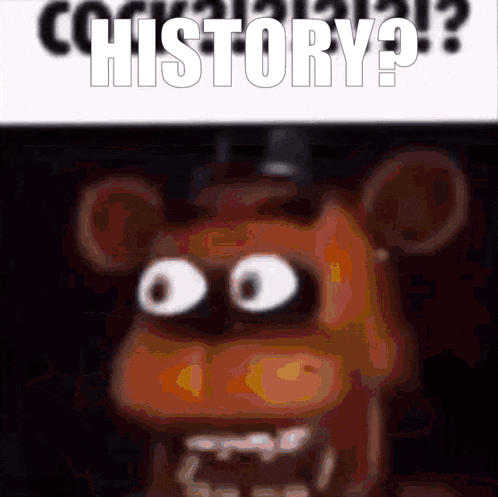a close up of a teddy bear 's face with a sign that says history