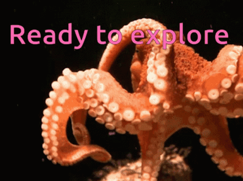 Octopus Curious GIF - Octopus Curious Underwater GIFs