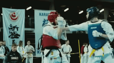 Karate Kyokushin GIF - Karate Kyokushin GIFs
