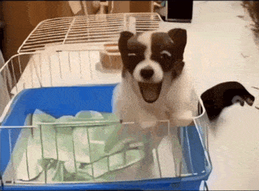 a black and white puppy is sitting in a blue cage with its mouth open .