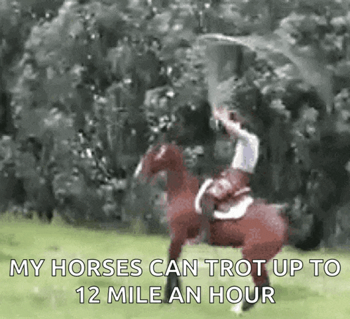 a person riding a horse with the words " my horses can trot up to 12 mile an hour " on the bottom