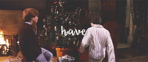 Harrypotter Christmas GIF - Harrypotter Christmas Have GIFs
