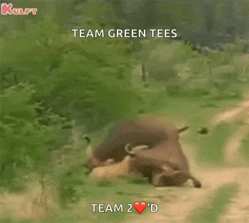 a bull is laying on the ground with the words team green tees team 2 d above it