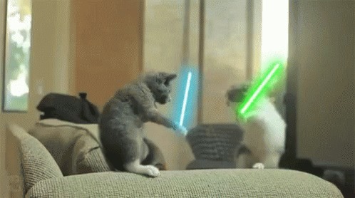 Battle Lightsaber GIF - Battle Lightsaber Cats GIFs