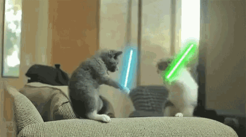 two cats are playing with lightsabers on a couch in a living room