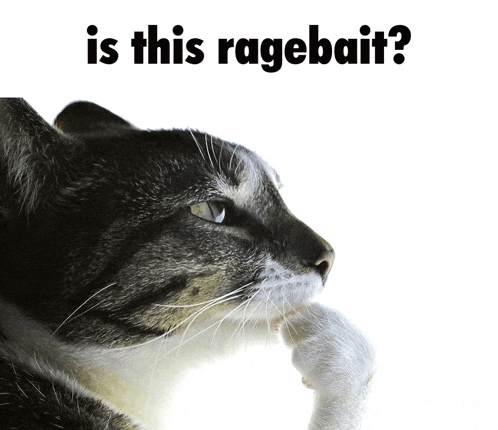 a picture of a cat with the words " is this ragebait " below it