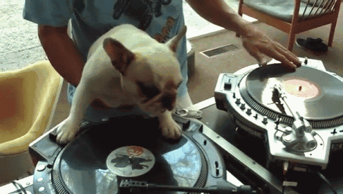 a dog is sitting on top of a record player while a man plays music