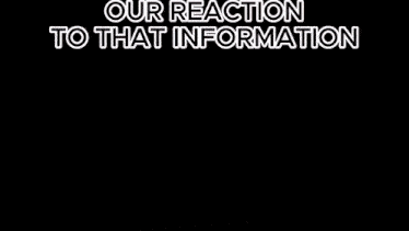 a close up of a cat with the words " our reaction to that information " below it