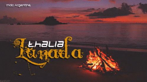 Thalia Lunada Bonfire GIF - Thalia Lunada Bonfire Burning GIFs