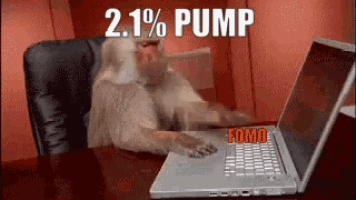 Fomo Monkey Typing GIF - Fomo Monkey Typing Stress GIFs