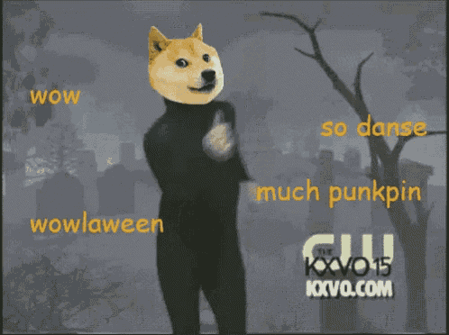 a picture of a doge with the words wow wowlaween and so danse much punkpin on the bottom