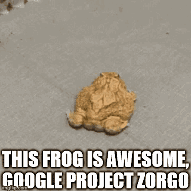 Frog Toad GIF - Frog Toad Project Zorgo GIFs