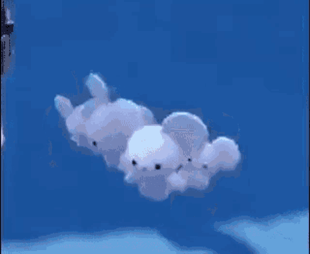 a bunch of stuffed animals are floating in the air with the word n on a blue background .