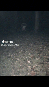 a tiktok video of a person walking in the dark .