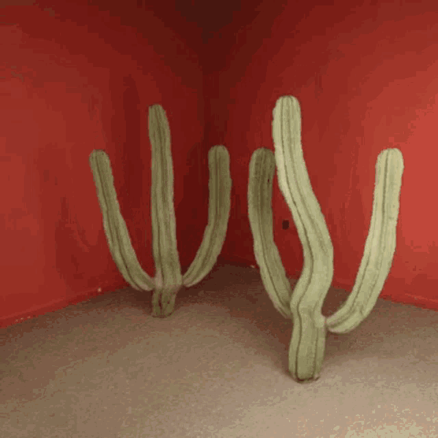 Cactus Dance GIF - Cactus Dance Catain Disillusion GIFs