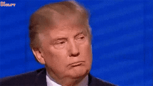 What Do You Say Donald GIF - What Do You Say Donald Trump GIFs