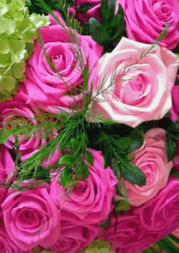a bunch of pink roses and green flowers