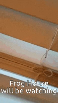 a frog is sitting on a window sill with the words frog house will be watching .