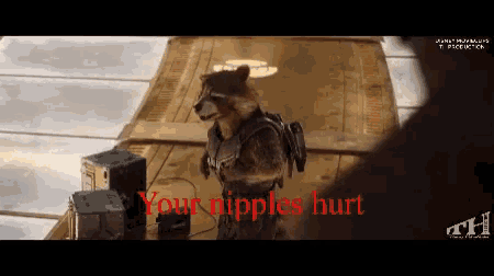 a picture of a raccoon with the words " your nipples hurt " on the bottom