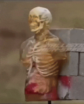 a statue of a man with a skeleton behind him and a picture of a dragon ball z character