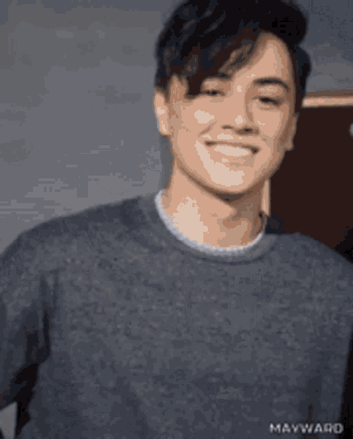 a young man wearing a grey sweater is smiling for the camera .