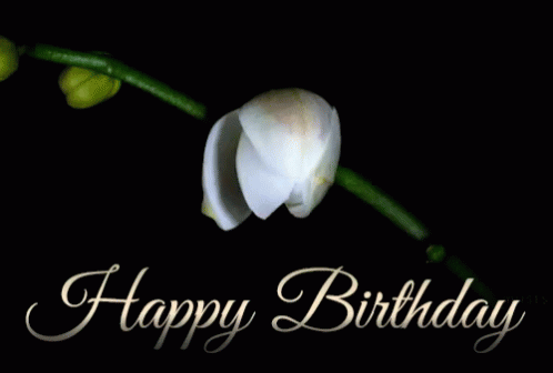 Happy Birthday Blooming GIF - Happy Birthday Blooming Orchid GIFs
