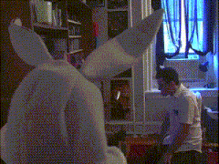 a man in a white shirt is standing in front of a stuffed bunny