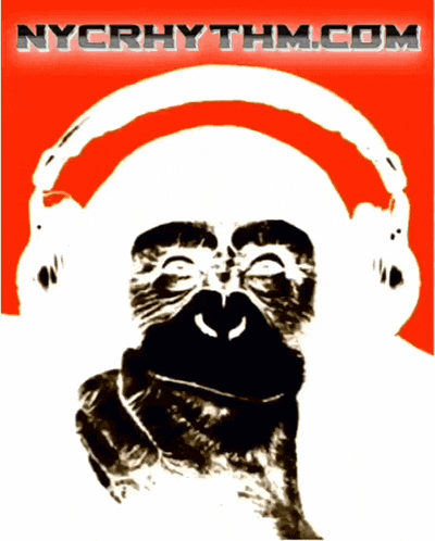 a picture of a monkey wearing headphones with nycrhythm.com written below it
