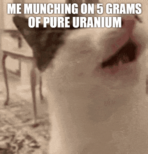 crunchy-cat-uranium.gif