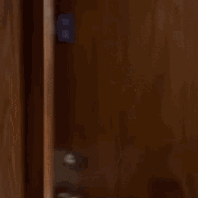a shirtless man with a beard is peeking out from behind a door .