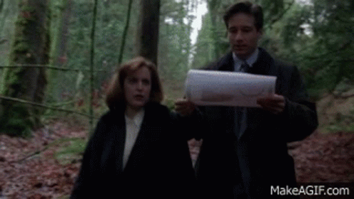 X Files The X Files GIF - X Files The X Files Mulder GIFs