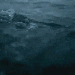 a person is swimming in the ocean with a shark in the background .