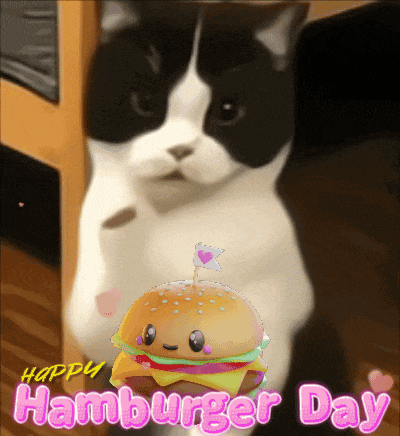a black and white cat is standing next to a hamburger that says happy hamburger day on it