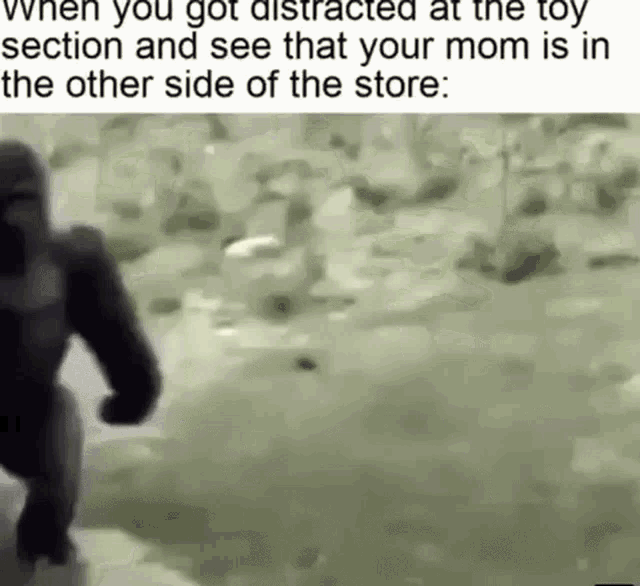 a black and white photo of a gorilla walking in a field .