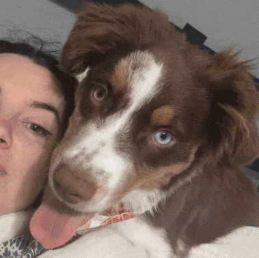 a brown and white dog laying next to a woman